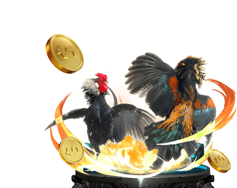 Khuyến mãi nạp lại hàng ngày Suncity Win