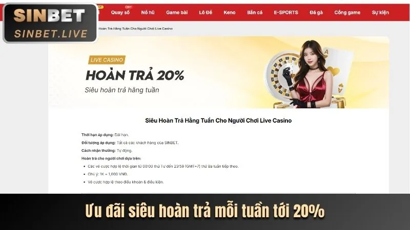 Đảm bảo an toàn và công bằng suncity win